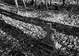 At Rest 15